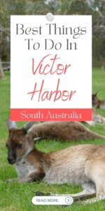 Things to do in Victor Harbor