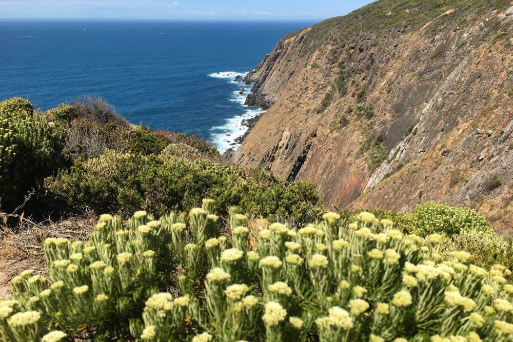 Waitpinga Cliff Walk