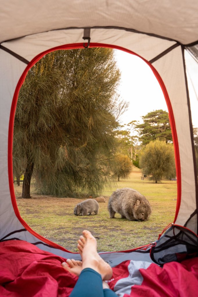 Camping at Darlington