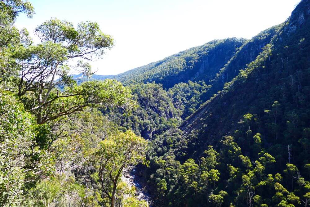 Leven Canyon Lookout Walk,
