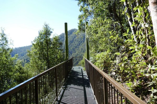 Leven Canyon Lookouts + Walks