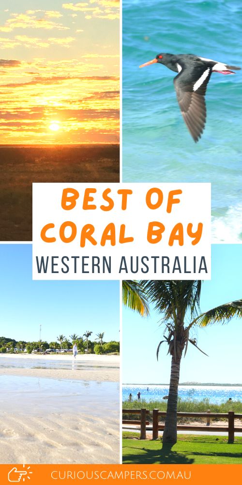 Things to do in Coral Bay