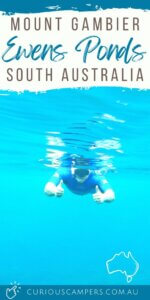 Snorkel Ewens Ponds in South Australia