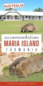 Maria Island Accommodation
