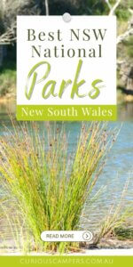 NSW National Parks 