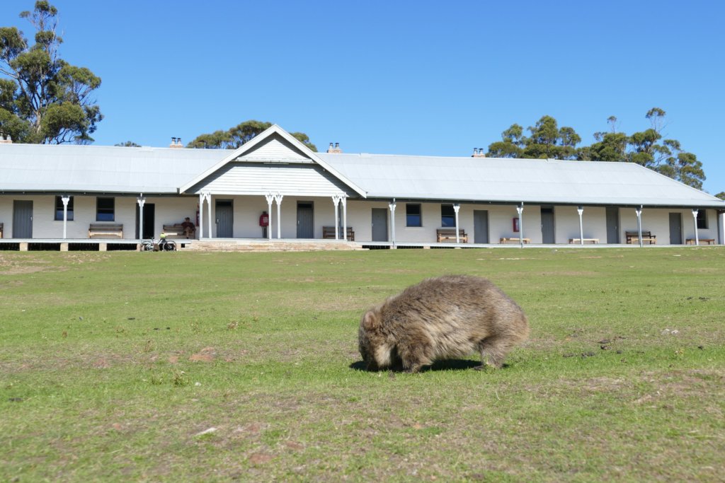 Maria Island Penitentiary Accommodation