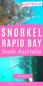 Rapid Bay Snorkel 