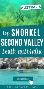 Snorkel Second Valley