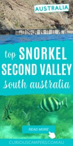 Second Valley Snorkel