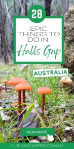 Things to do in Halls Gap