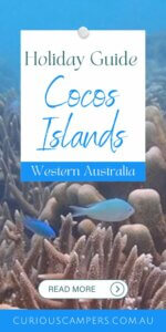 Cocos Island Holiday Guide
