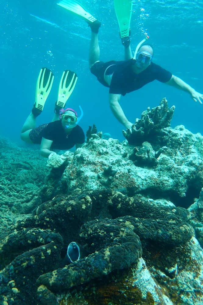 Cocos Island Giant Clam