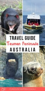Things to do on Tasman Peninsula