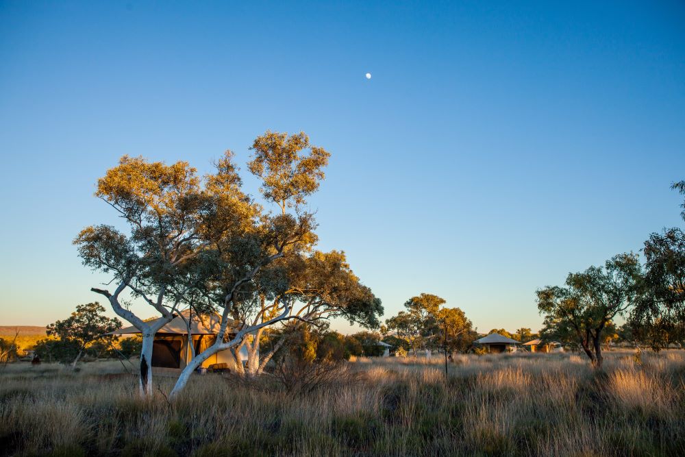 Karijini Eco Retreat 