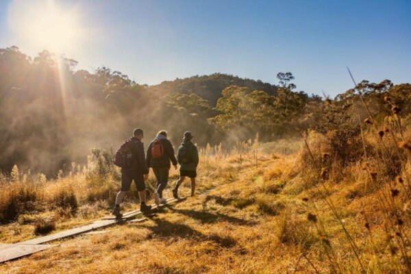14 Fun Canberra Walks for Families and Nature Lovers