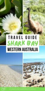 Things to do in Shark Bay
