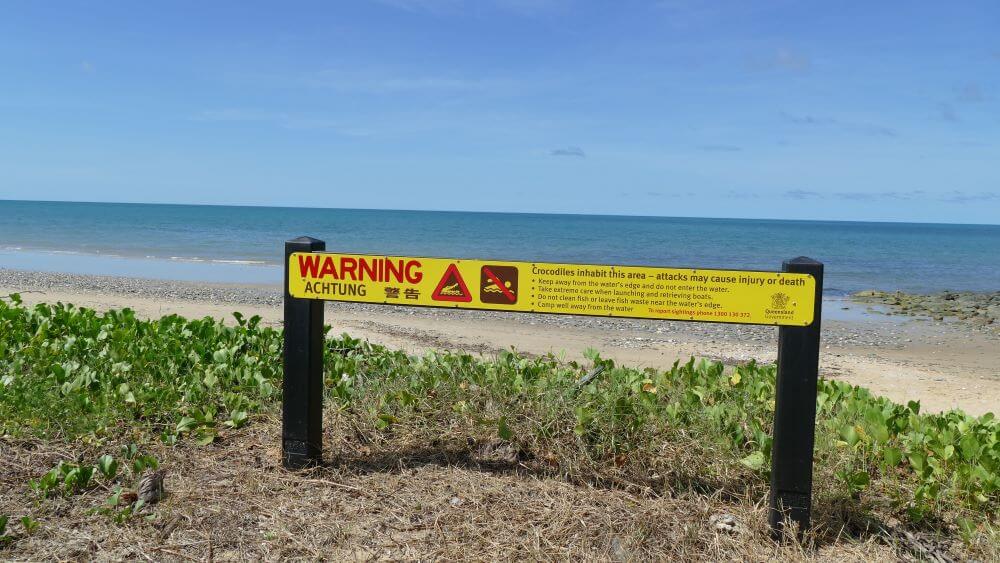 Pantai Port Douglas Terbaik & Pantai mana yang memiliki Jaring Penyengat