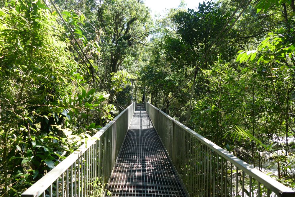 Jembatan Gantung Mossman Gorge