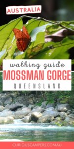 Mossman Gorge Walks 