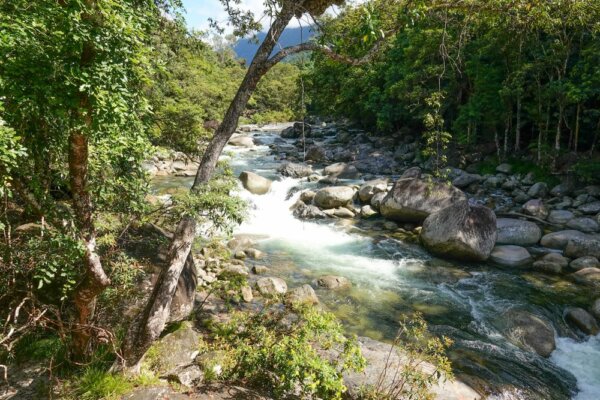 Complete Guide to the Best Mossman Gorge Walks