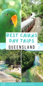Cairns Day Trips