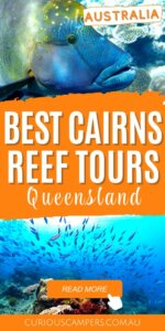 Cairns Snorkel Tours