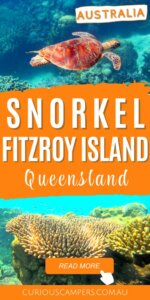Fitzroy Island Snorkel
