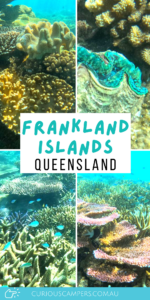 Frankland Islands Tour