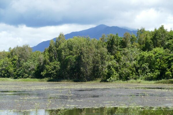 Hal Terbaik tentang Cattana Wetlands Cairns