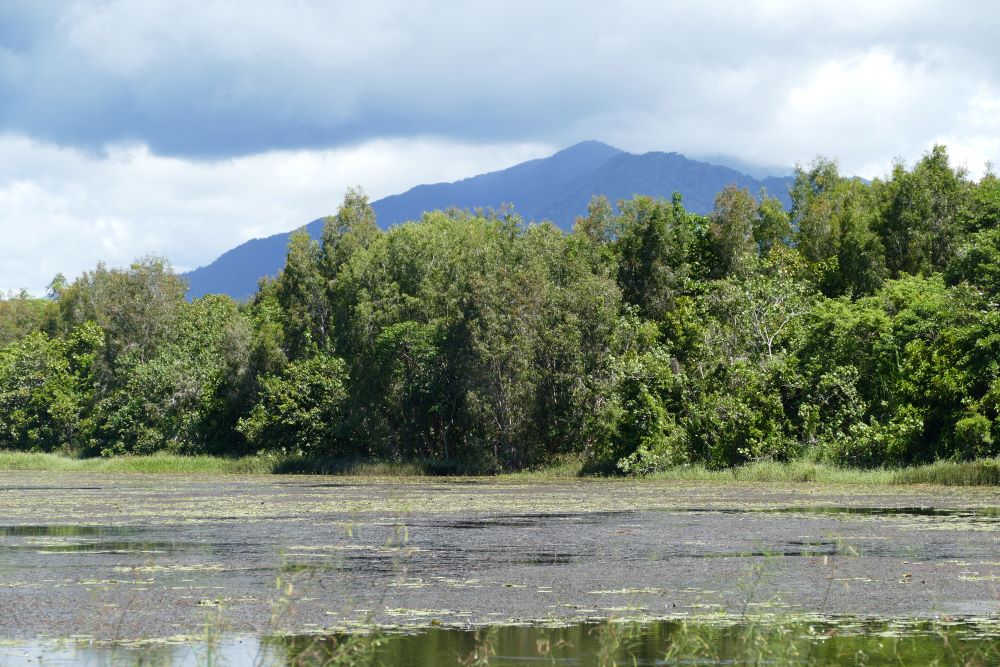 Jabiru Lake Cattana Wetlands
