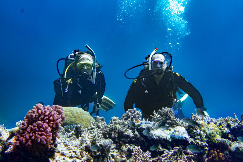Scuba Diving Great Barrier
