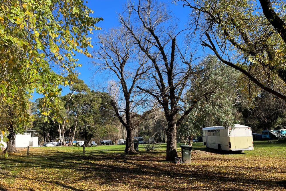 Cudlee Creek Caravan Park - Adelaide Hills Caravan Parks