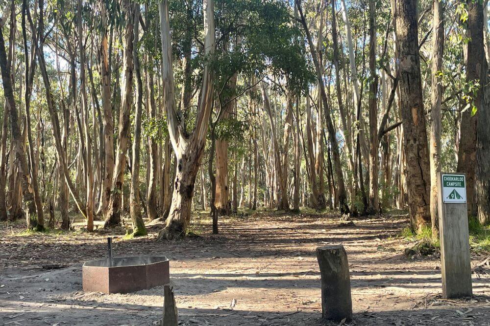Chookarloo Campground, Kuitpo Forest - Adelaide Hills Camping