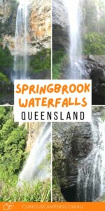 Springbrook Waterfalls 