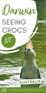 Crocodile Parks in Darwin