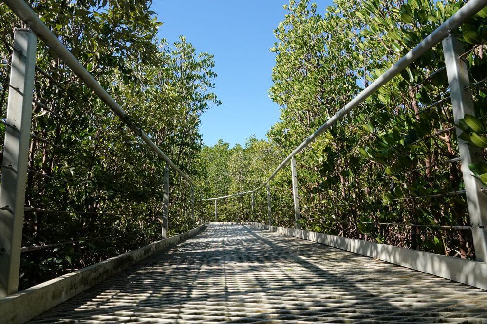 East Point Mangrove Boardwalk