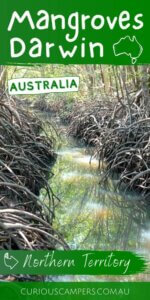 Mangrove Boardwalk Darwin 