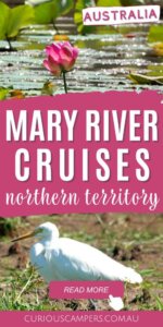 Mary River Cruise Darwin