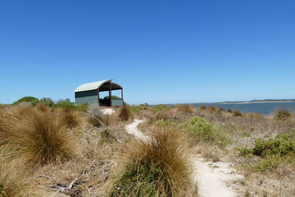 Coorong Lookout