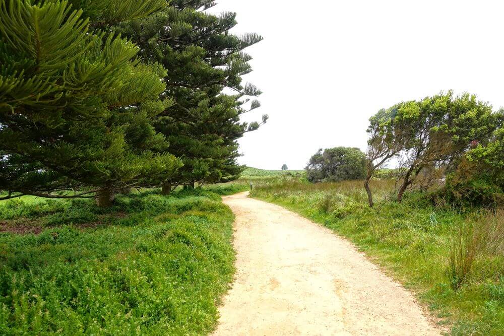 Griffith Island Walk