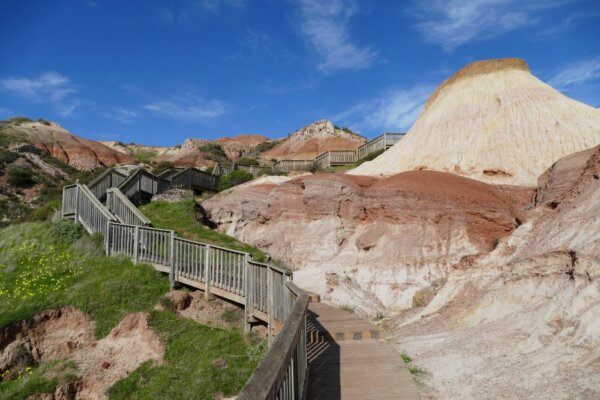 Why you should do the Hallett Cove Boardwalk