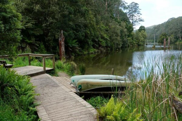 Things to do at Lake Elizabeth & Forrest in the Otway Ranges