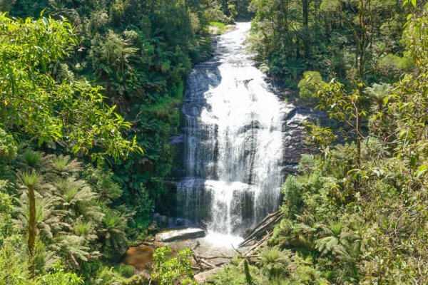 Little Aire Falls Walk – The Best Waterfall Walk near Apollo Bay