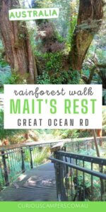 Mait's Rest Rainforest Walk