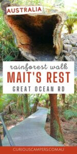 Mait's Rest Rainforest Walk