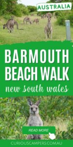 Hancock Point to Barmouth Beach Walking Track