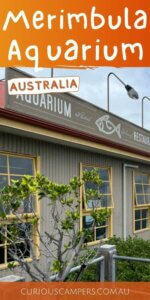 Merimbula Aquarium 