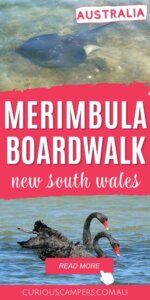 Merimbula Boardwalk 