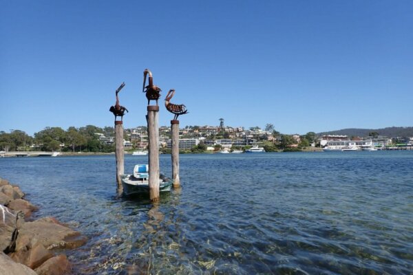 9 Best Things in Merimbula for Nature Lovers